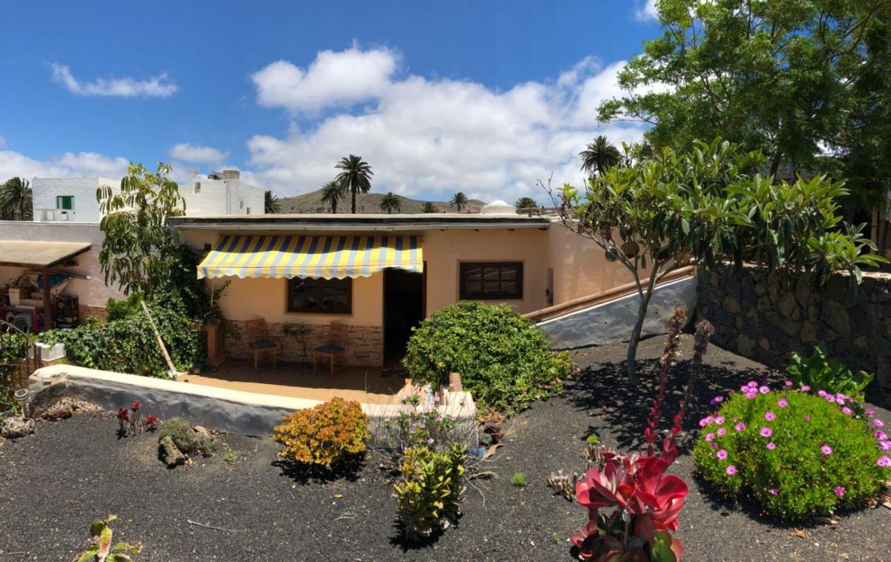 Casa Palmera Y Casa Datil Haría Екстериор снимка