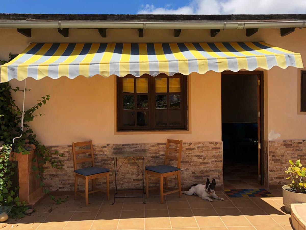 Casa Palmera Y Casa Datil Haría Екстериор снимка
