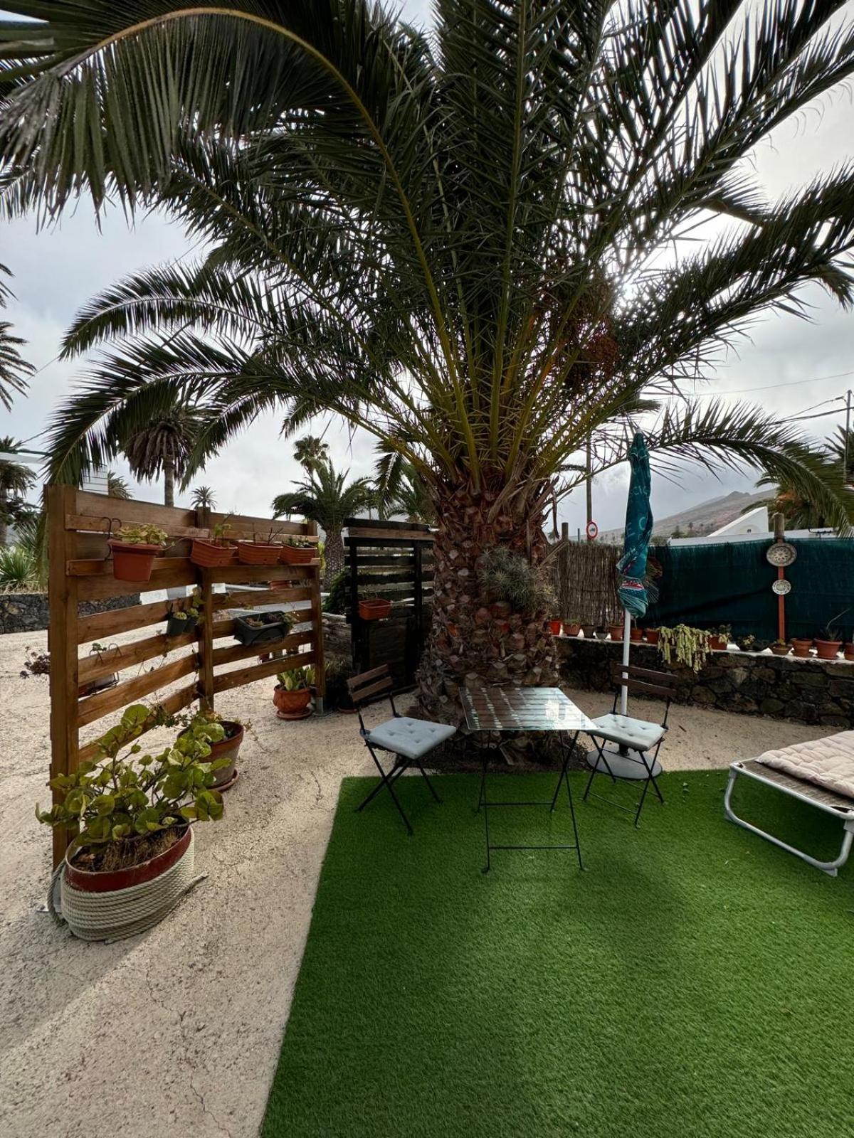 Casa Palmera Y Casa Datil Haría Стая снимка